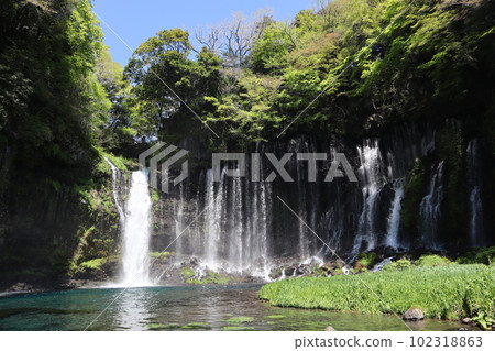 World Cultural Heritage Shiraito Falls (Fujinomiya City, Shizuoka Prefecture) 102318863