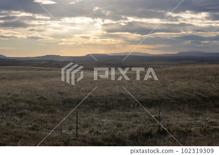 Fields and meadows, Gullfoss area, Iceland Fields and meadows, Gullfoss area, Iceland 102319309