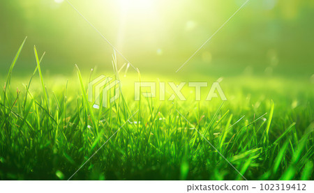 Lush green lawn close up with vibrant grass bathed in warm sunlight. Generative AI realistic illustration 102319412