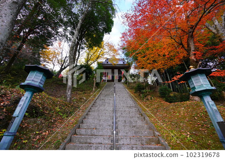 河見藥師寺秋葉 102319678