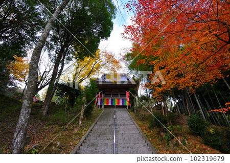 河見藥師寺秋葉 102319679