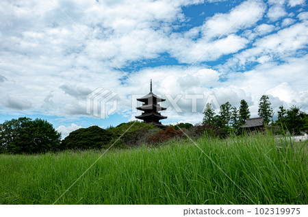 A five-storied pagoda standing in a blue sky rice field A five-storied pagoda standing in a blue sky rice field 102319975