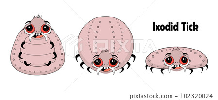 Ticks characters set. Pest control. Ixodid ticks. INSECT PEST CHARACTERS. lyme disease. 102320024