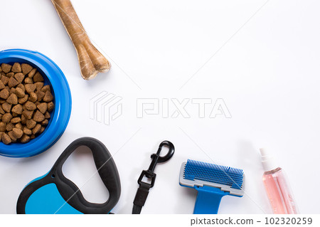 Collar, blue bowl with feed, leash, delicacy, combs and brushes for dogs. Isolated on white background 102320259