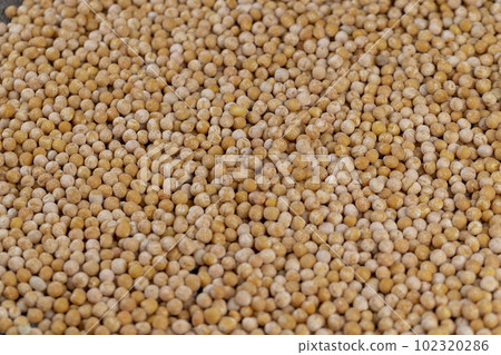Dry hard yellow peas for cooking porridge Dry hard yellow peas for cooking porridge 102320286