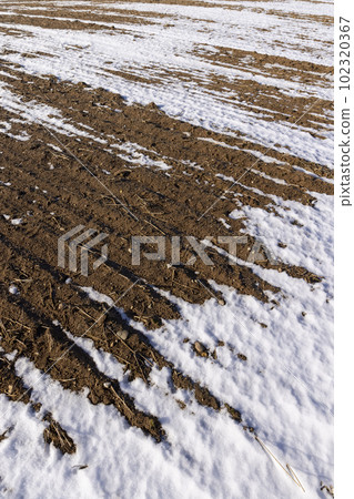 agricultural field for planting plants in winter 102320367