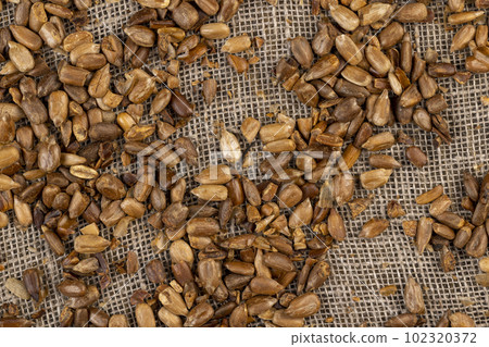 heavily fried sunflower seeds close up heavily fried sunflower seeds close up 102320372