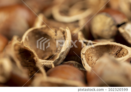 debris left after peeling the hazelnuts from the shell 102320599