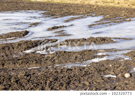 frozen dirty water in puddles on the soil frozen dirty water in puddles on the soil 102320773