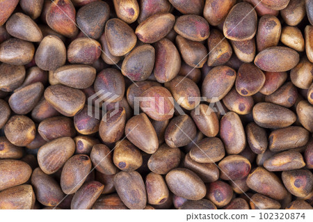 a bunch of pine nuts in the shell a bunch of pine nuts in the shell 102320874
