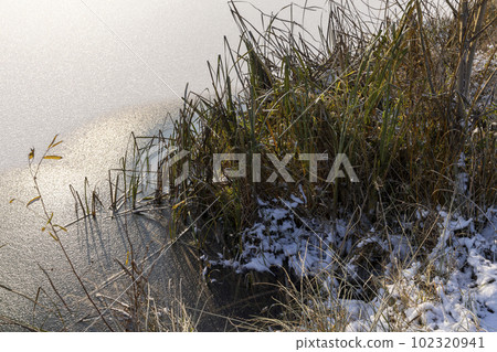 The surface of the lake covered with ice and snow with reeds The surface of the lake covered with ice and snow with reeds 102320941