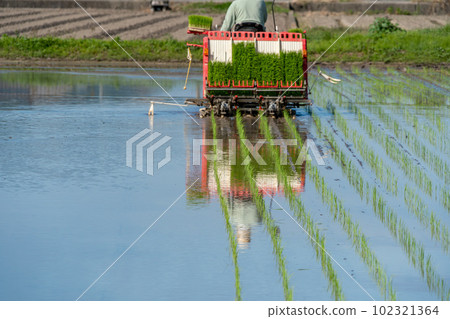 Image of rice planting work using a rice transplanter 102321364