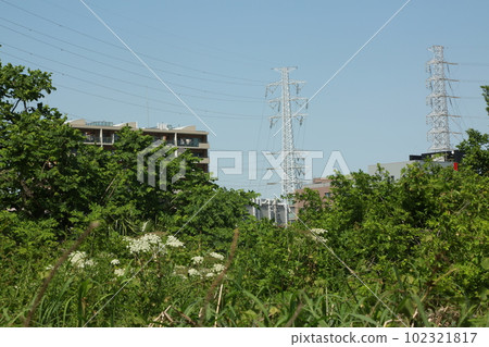 I walked along the Tsurumi River I walked along the Tsurumi River 102321817