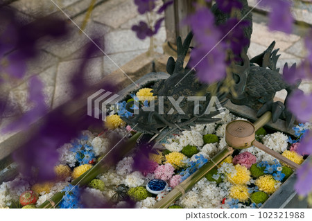 龍水口花水 102321988