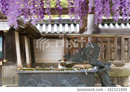 Dragon water mouth and flower water 102321989