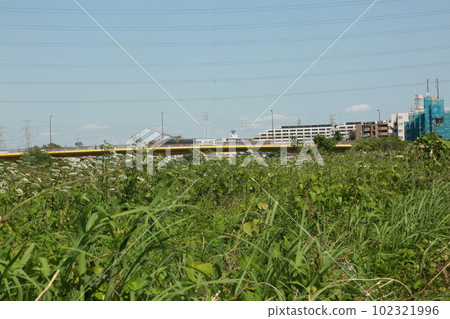 我沿著鶴見川散步 我沿著鶴見川散步 102321996