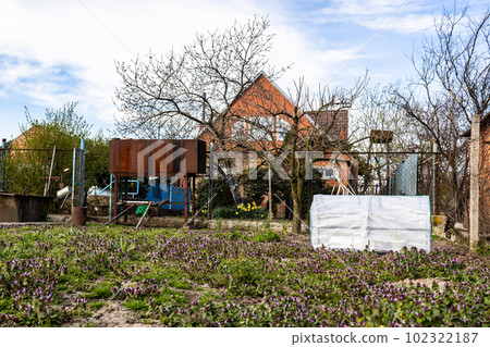 village garden with dead-nettle with greenhouse 102322187