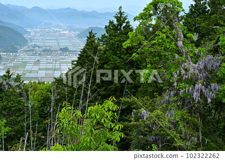 View from Yagami Castle View from Yagami Castle 102322262