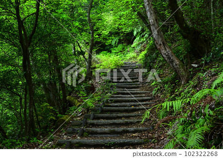 從八神城 從八神城 102322268