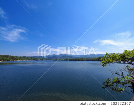 Fresh green of Manno Pond in sunny weather [Mannou Town, Nakatado District, Kagawa Prefecture] 102322367