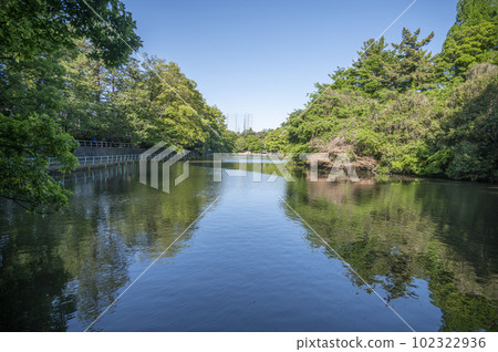 Musashi Kinen Park 102322936