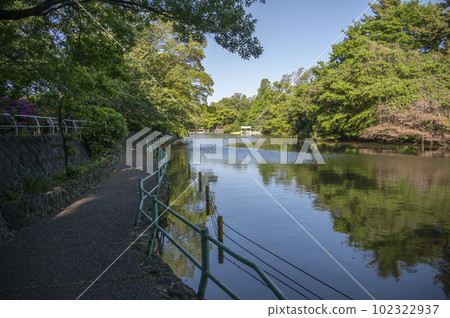 Musashi Kinen Park 102322937