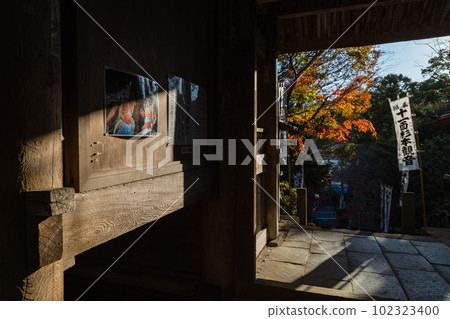 Sanmon and autumn leaves of Sugimoto Temple in Kamakura City, Kanagawa Prefecture, Japan Sanmon and autumn leaves of Sugimoto Temple in Kamakura City, Kanagawa Prefecture, Japan 102323400