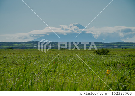 Green marsh and Rishirifuji 102323706