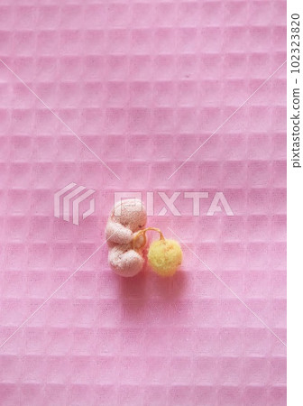 在成為胎兒之前稱為胚胎的嬰兒 102323820