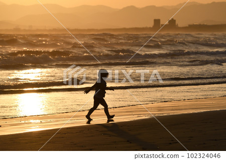 Sunset and Shonan Sea 102324046