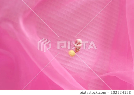 Helping to nurture motherhood and paternity, and is also used for adolescent sex education Helping to nurture motherhood and paternity, and is also used for adolescent sex education 102324138