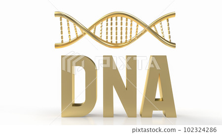 The Gold dna on white Background for sci or medical concept 3d rendering 102324286