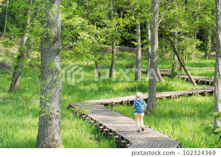 Photo of a senior woman hiking in fresh green 102324369