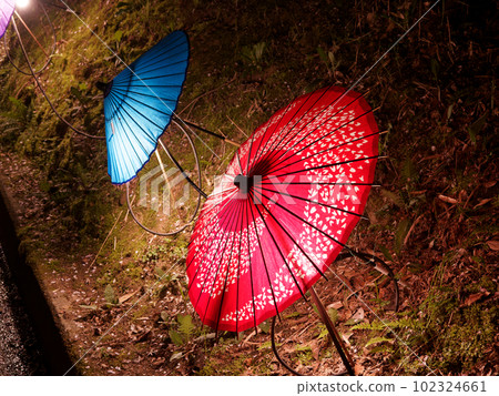 A row of Japanese umbrellas brightly lit Stock Photo 102324661