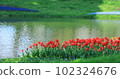 Chillip 102324676