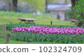 Chillip 102324709