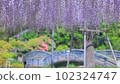 Yakushiike Park Fuji 102324747
