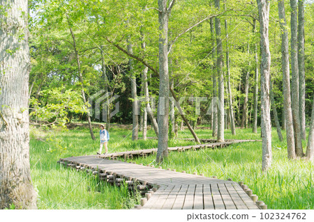 一位高級女性在新綠色中徒步旅行的照片 一位高級女性在新綠色中徒步旅行的照片 102324762