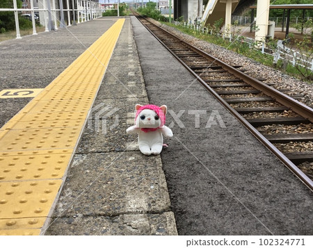 一隻毛絨貓和一次火車旅行 102324771