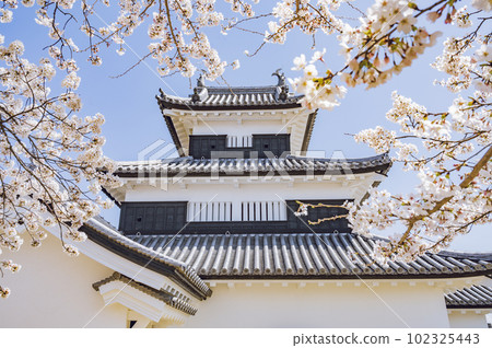 Fukushima Shirakawa Komine Castle Ruins Fukushima Shirakawa Komine Castle Ruins 102325443