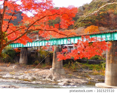 river, railroad tracks and autumn leaves 102325510