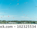 Hamamatsu Festival Kite Flying 102325534