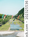 Carp streamer 102325536