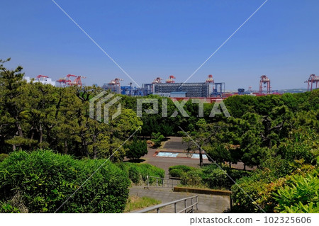 Container terminal seen from Oi Wharf Park Hill 102325606
