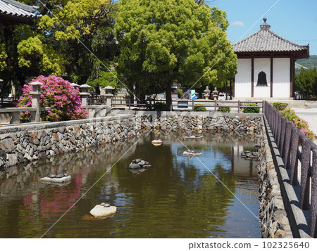 Moat and fresh greenery of Fugen-do (Hikari City, Yamaguchi Prefecture) 102325640