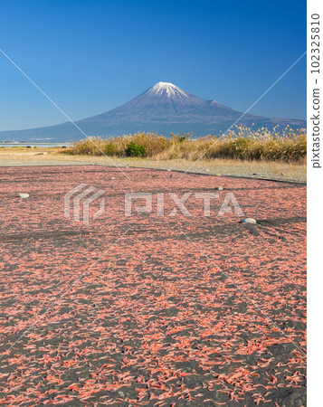 靜岡_櫻花蝦和富士山絕景（藤川綠地公園） 102325810
