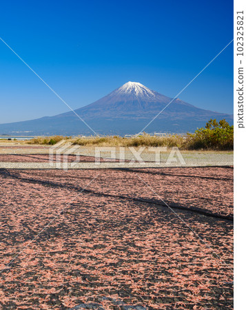 靜岡_櫻花蝦和富士山絕景(藤川綠地公園) 靜岡_櫻花蝦和富士山絕景(藤川綠地公園) 102325821