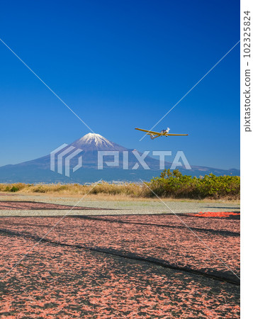 靜岡_櫻花蝦和富士山絕景（藤川綠地公園） 102325824