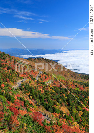 Fukushima_Bandai Azuma 天際線與紅葉 102325834