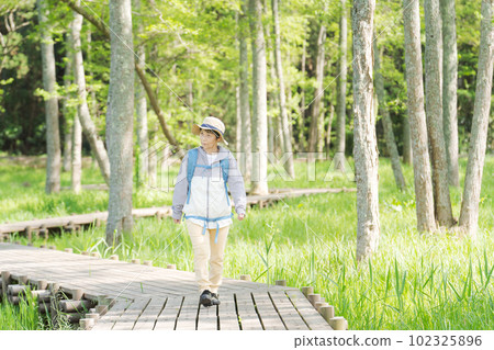一位高級女性在新綠色中徒步旅行的照片 102325896
